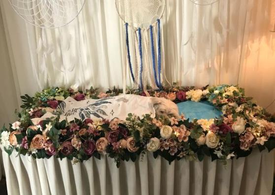 长沙宠物去世善后